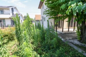 4672　栃木市大平町西水代　戸建