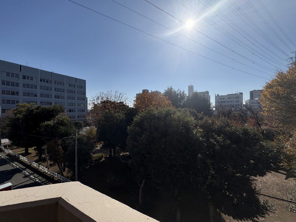 4778　ダイアパレスパークサイド小山　304