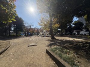 4778　ダイアパレスパークサイド小山　304