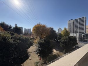 4778　ダイアパレスパークサイド小山　304