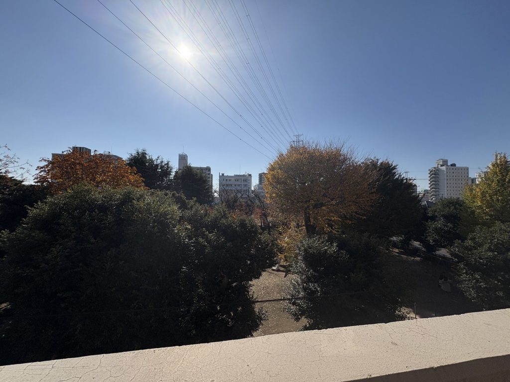 4778　ダイアパレスパークサイド小山　304