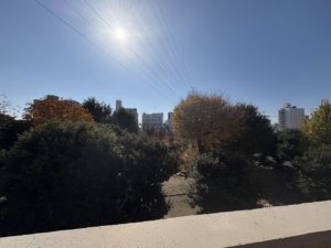 4778　ダイアパレスパークサイド小山　304