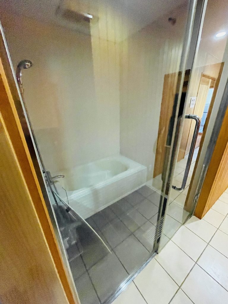 4786栃木市大平町下皆川