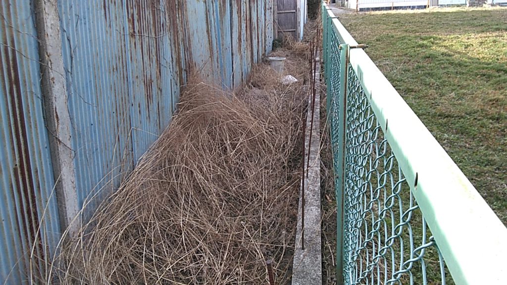 4799 小山市大字喜沢684-7 土地